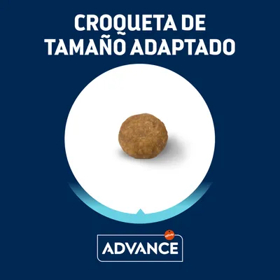 Croqueta de tamaño adaptado Advance. Imagen de una croqueta individual sobre fondo blanco, texto: 'CROQUETA DE TAMAÑO ADAPTADO', marca Advance visible abajo.
