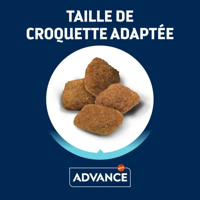 Croquettes Advance, taille de croquette adaptée indiquée. Quatre croquettes visibles sur fond blanc, texte : TAILLE DE CROQUETTE ADAPTÉE, marque Advance affichée en bas.