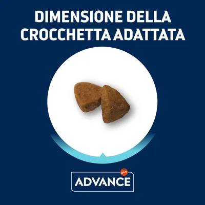 Due crocchette Advance, testo: 'Dimensione della crocchetta adattata', marchio Advance visibile in basso.