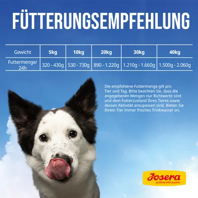 Fütterungsempfehlung für Hunde: Gewicht 5kg - 320-430g, 10kg - 530-730g, 20kg - 890-1.220g, 30kg - 1.210-1.660g, 40kg - 1.500-2.060g. Josera Logo unten rechts.