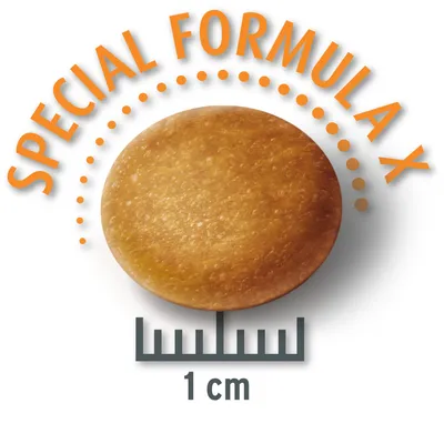 Raksu, jonka halkaisija on 1 cm, teksti: Special Formula X.