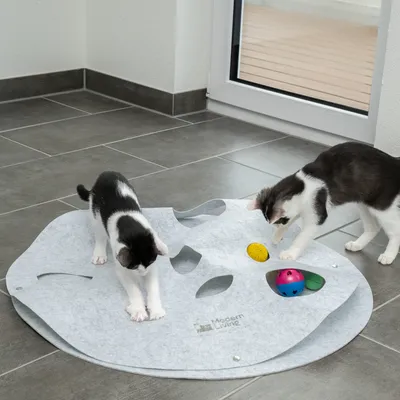 Spielmatte aus Filz mit Löchern, Marke Modern Living. Zwei Katzen spielen mit bunten Bällen auf der Matte.