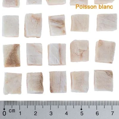 Morceaux carrés de poisson blanc, alignés sur fond blanc avec règle en centimètres pour indiquer la taille. Texte visible : Poisson blanc.