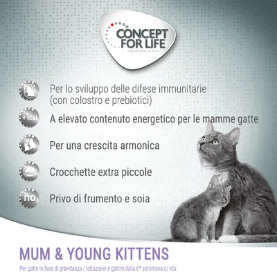Concept for Life Mum & Young Kittens. Per lo sviluppo delle difese immunitarie, elevato contenuto energetico, crescita armonica, crocchette extra piccole, privo di frumento e soia.