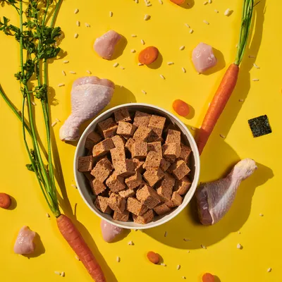 Bowl of cubed pet food surrounded by raw chicken pieces, carrots, grains, and herbs, showing visible ingredients used in the product.
