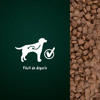 Pienso para perros con icono de perro, flechas en el abdomen y texto: Fácil de digerir. Fondo de croquetas marrones a la derecha.