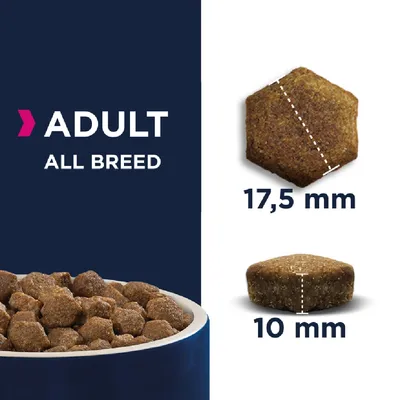 Adult all breed dry food shown with kibble dimensions: 17.5 mm width and 10 mm height.