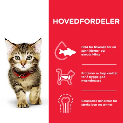 Hill's Science Plan Kitten Tunfisk