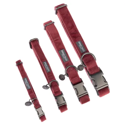Nomad Tales hundhalsband i rött, fyra storlekar med metallspännen och D-ringar. Högkvalitativt material synligt.