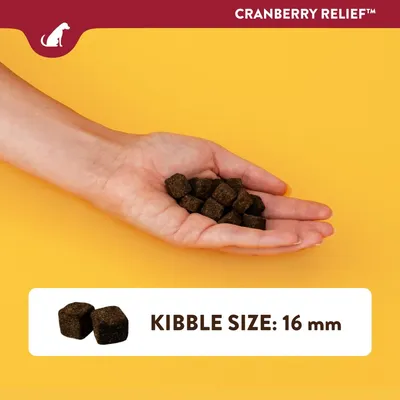 NaturVet Cranberry Relief