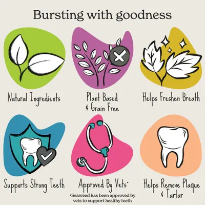 Natural ingredients, plant based and grain free, helps freshen breath, supports strong teeth, approved by vets, helps remove plaque and tartar. Seaweed approved for healthy teeth.