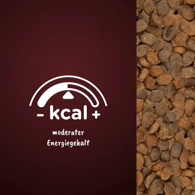 Moderater Energiegehalt, Symbol mit Skala und Text: -kcal+, daneben Nahaufnahme von braunen Trockenfutterstücken.