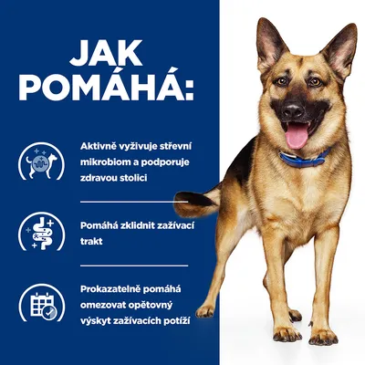 Text v češtine: Jak pomáhá: Aktivně vyživuje střevní mikrobiom a podporuje zdravou stolici. Pomáhá zklidnit zažívací trakt. Prokazatelně pomáhá omezovat opětovný výskyt zažívacích potíží.