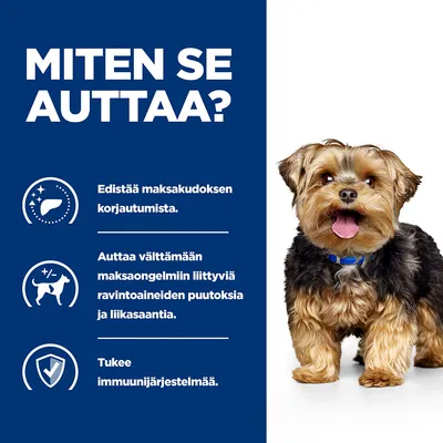 Teksti: MITEN SE AUTTAA? Edistää maksakudoksen korjautumista. Auttaa välttämään maksaongelmiin liittyviä ravintoaineiden puutoksia ja liikasaantia. Tukee immuunijärjestelmää.