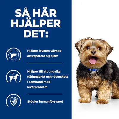 Så här hjälper det: Hjälper leverns vävnad att reparera sig själv, undviker näringsbrist och -överskott vid leverproblem, stöder immunförsvaret. Bild på liten hund.