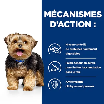 MÉCANISMES D’ACTION : Niveau contrôlé de protéines hautement digestibles, faible teneur en cuivre pour limiter l’accumulation dans le foie, antioxydants cliniquement prouvés.