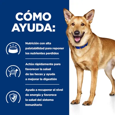 CÓMO AYUDA: Nutrición con alta palatabilidad para reponer los nutrientes perdidos. Actúa rápidamente para favorecer la salud de las heces y ayuda a mejorar la digestión. Ayuda a recuperar el nivel de energía y favorece la salud del sistema inmunitario.
