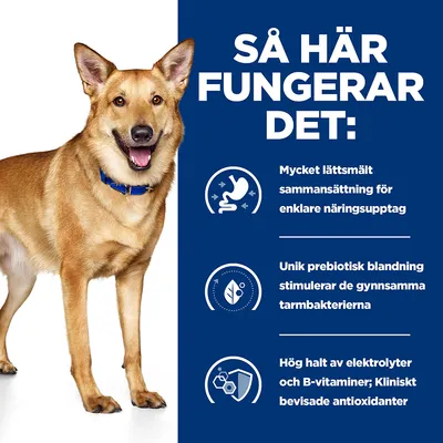 Så här fungerar det: Mycket lättsmält sammansättning för enklare näringsupptag. Unik prebiotisk blandning stimulerar de gynnsamma tarmbakterierna. Hög halt av elektrolyter och B-vitaminer; Kliniskt bevisade antioxidanter.