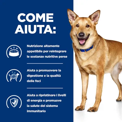 COME AIUTA: Nutrizione altamente appetibile per reintegrare le sostanze nutritive perse. Aiuta a promuovere la digestione e la qualità delle feci. Aiuta a ripristinare i livelli di energia e promuove la salute del sistema immunitario.