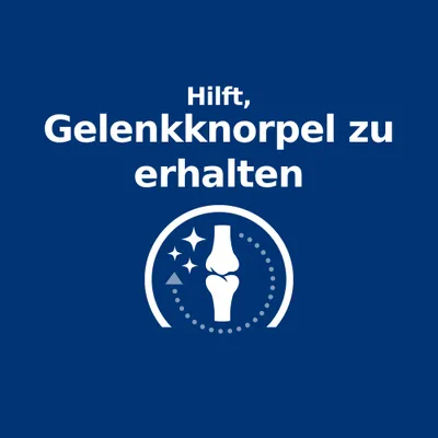 Hilft, Gelenkknorpel zu erhalten. Symbol eines Gelenks mit Sternen und Kreispunkten.