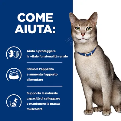 COME AIUTA: Aiuta a proteggere la vitale funzionalità renale. Stimola l’appetito e aumenta l’apporto alimentare. Supporta la naturale capacità di sviluppare e mantenere la massa muscolare.