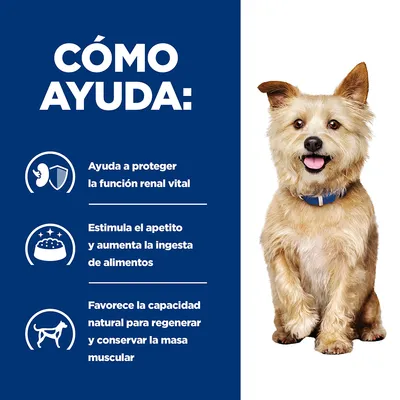 Cómo ayuda: protege la función renal vital, estimula el apetito y aumenta la ingesta de alimentos, favorece la regeneración y conservación de masa muscular. Perro sentado a la derecha.