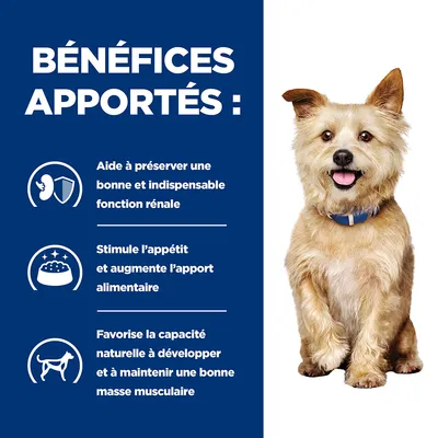 BÉNÉFICES APPORTÉS : aide à préserver une bonne et indispensable fonction rénale, stimule l’appétit et augmente l’apport alimentaire, favorise la capacité naturelle à développer et maintenir la masse musculaire