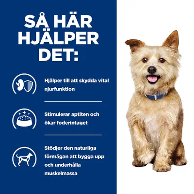 Så här hjälper det: Hjälper till att skydda vital njurfunktion, stimulerar aptiten och ökar foderintaget, stödjer förmågan att bygga upp och underhålla muskelmassa.