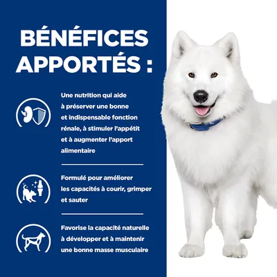 BÉNÉFICES APPORTÉS : nutrition pour fonction rénale, appétit et apport alimentaire ; améliore capacités à courir, grimper, sauter ; favorise développement et maintien de la masse musculaire.