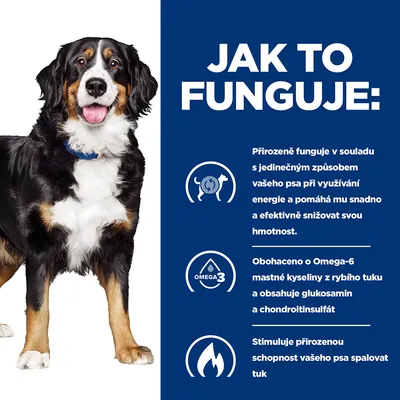 Jak to funguje: Přirozeně funguje v souladu s jedinečným způsobem vašeho psa, obohaceno o Omega-6 mastné kyseliny z rybího tuku, stimuluje schopnost spalovat tuk.