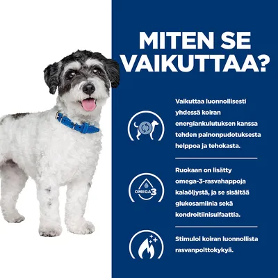 Teksti: MITEN SE VAIKUTTAA? Vaikuttaa luonnollisesti yhdessä koiran energiankulutuksen kanssa tehden painonpudotuksesta helppoa ja tehokasta. Ruokaan on lisätty omega-3-rasvahappoja kalaöljystä, ja se sisältää glukosamiinia sekä kondroitiinisulfaattia. Stimuloi koiran luonnollista rasvanpolttokykyä.
