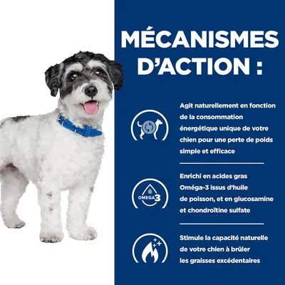 MÉCANISMES D’ACTION : agit selon la consommation énergétique du chien, enrichi en Oméga-3 d’huile de poisson, glucosamine et chondroïtine, aide à brûler les graisses excédentaires.