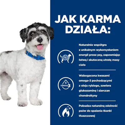 Jak karma działa: naturalnie wspomaga utratę masy ciała, wzbogacona omega-3 z oleju rybiego, glukozamina i siarczan chondroityny, pobudza spalanie tkanki tłuszczowej u psów.