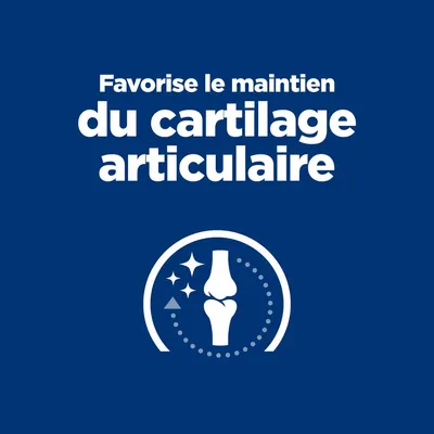 Favorise le maintien du cartilage articulaire, texte en blanc sur fond bleu avec icône de genou stylisé et étoiles.