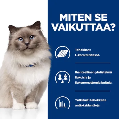 Miten se vaikuttaa? Tehokkaat L-karnitiinitasot. Ihanteellinen yhdistelmä liukoisia ja liukenemattomia kuituja. Tutkitusti tehokkaita antioksidantteja.