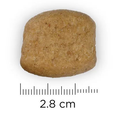 Едно парче суха храна с дължина 2,8 см, показано върху линия с мерна скала в сантиметри.