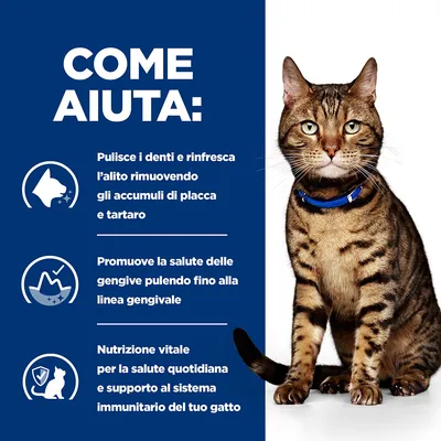 COME AIUTA: Pulisce i denti e rinfresca l’alito rimuovendo placca e tartaro. Promuove la salute delle gengive. Nutrizione vitale per la salute quotidiana e supporto immunitario del gatto.