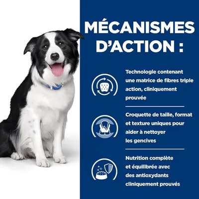 MÉCANISMES D’ACTION : Technologie contenant une matrice de fibres triple action, croquette de taille, format et texture uniques, nutrition complète avec antioxydants cliniquement prouvés.