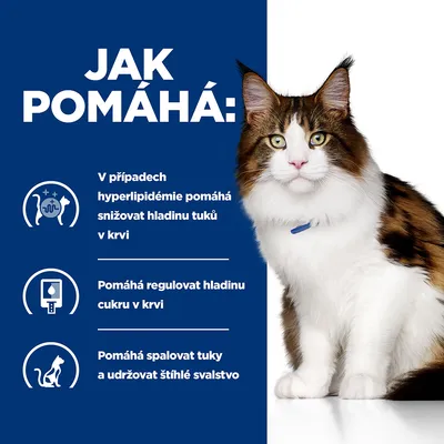 Jak pomáhá: V případech hyperlipidémie pomáhá snižovat hladinu tuků v krvi, pomáhá regulovat hladinu cukru v krvi, pomáhá spalovat tuky a udržovat štíhlé svalstvo. Kočka vedle textu.