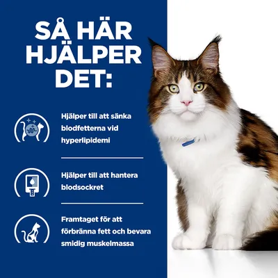 Så här hjälper det: Hjälper till att sänka blodfetterna vid hyperlipidemi, hantera blodsockret och förbränna fett samt bevara smidig muskelmassa. Bild på katt till höger.