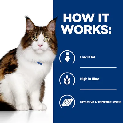 HOW IT WORKS: Low in fat, High in fibre, Effective L-carnitine levels szöveg angolul, mellette cica képe. A szöveg magyar fordítása nem látható.