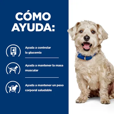 Texto: Cómo ayuda. Ayuda a controlar la glucemia. Ayuda a mantener la masa muscular. Ayuda a mantener un peso corporal saludable. Incluye iconos relacionados y perro pequeño con collar azul.