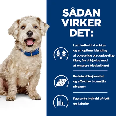 SÅDAN VIRKER DET: Lavt indhold af sukker og fibre til regulering af blodsukker, protein af høj kvalitet og L-carnitin, passende fedt og kalorier. Hund med blå halsbånd ved siden af tekst.