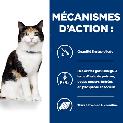 Mécanismes d’action : quantité limitée d’iode, Oméga-3 issus d’huile de poisson, teneurs limitées en phosphore et sodium, taux élevés de L-carnitine.