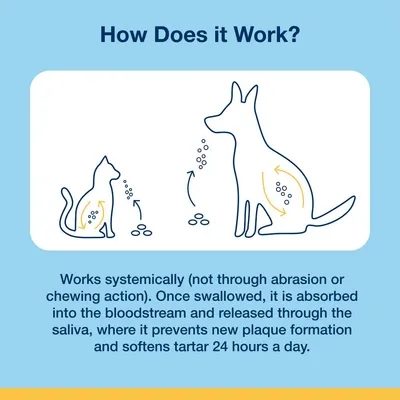 Diagram and text explain product is swallowed, absorbed into the bloodstream, released in saliva, and works systemically to prevent plaque and soften tartar continuously.
