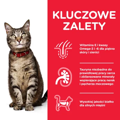 Kluczowe zalety: witamina E i kwasy Omega-3 i -6 dla skóry i sierści, tauryna i minerały dla serca, nerek i pęcherza, wysokiej jakości białko dla mięśni. Obok siedzi kot w czerwonej obroży.