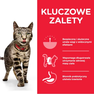 Kluczowe zalety: Bezpieczna i skuteczna utrata wagi z widocznymi efektami, wspomaga długotrwałe utrzymanie zdrowej masy ciała, błonnik prebiotyczny ułatwia trawienie.