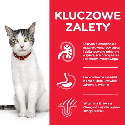 Kluczowe zalety: tauryna dla serca i nerek, lekkostrawne składniki z błonnikiem na trawienie, witamina E i kwasy Omega-3 i -6 dla skóry i sierści. Obok biało-szary kot w czerwonej obroży.