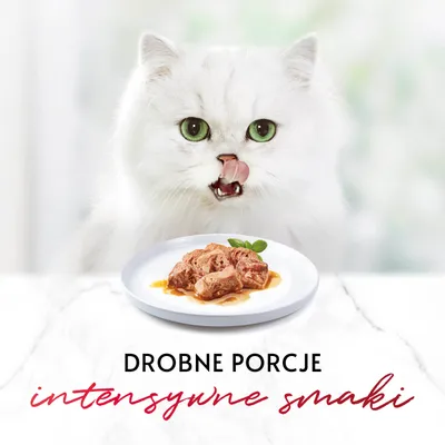 Drobne porcje, intensywne smaki – widoczny talerz z kawałkami mokrej karmy w sosie. Tekst promuje smak i wielkość porcji.