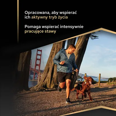 Opracowany, aby wspomagać aktywny tryb życia i pomagać w utrzymaniu intensywnie obciążonych stawów. Opracowany, aby wspomagać aktywny tryb życia i pomagać w utrzymaniu intensywnie obciążonych stawów.